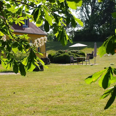 Gut Rattelvitz - Galerie Mitte *