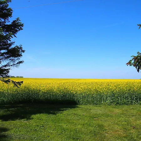 Gut Rattelvitz - Galerie Mitte *