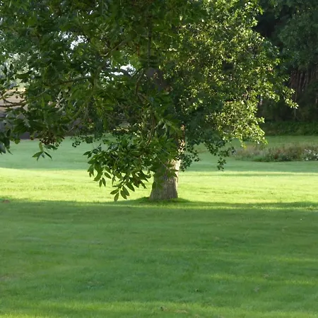 Gut Rattelvitz - Galerie Mitte Апартаменты *