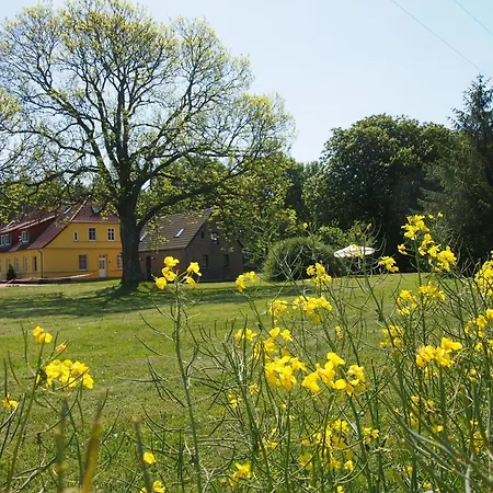 Апартаменты Gut Rattelvitz - Galerie Mitte Gingst